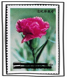 郵票欣賞:康乃馨 | iGarden花寶愛花園