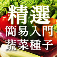 精選簡易入門蔬菜種子