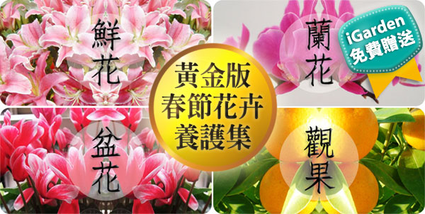 過年花卉輕鬆買、輕鬆養 iGarden精華收錄人氣花卉選購照顧指南 春節花卉選購及照顧指南