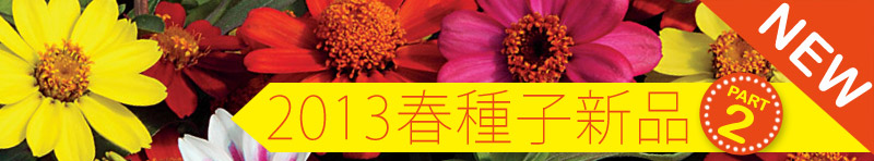 2013春播種子第二波新品到貨
