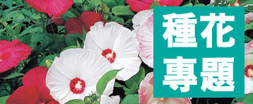 春天種花專題