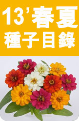 春天種花專題: 栽培教學&春播目錄